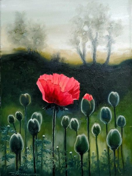 Poppies