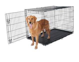 Animaze XL 1-Door Folding Dog Crate