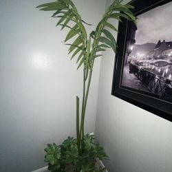 Artificial plant