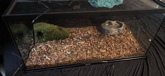 Snake cage with feeder cage