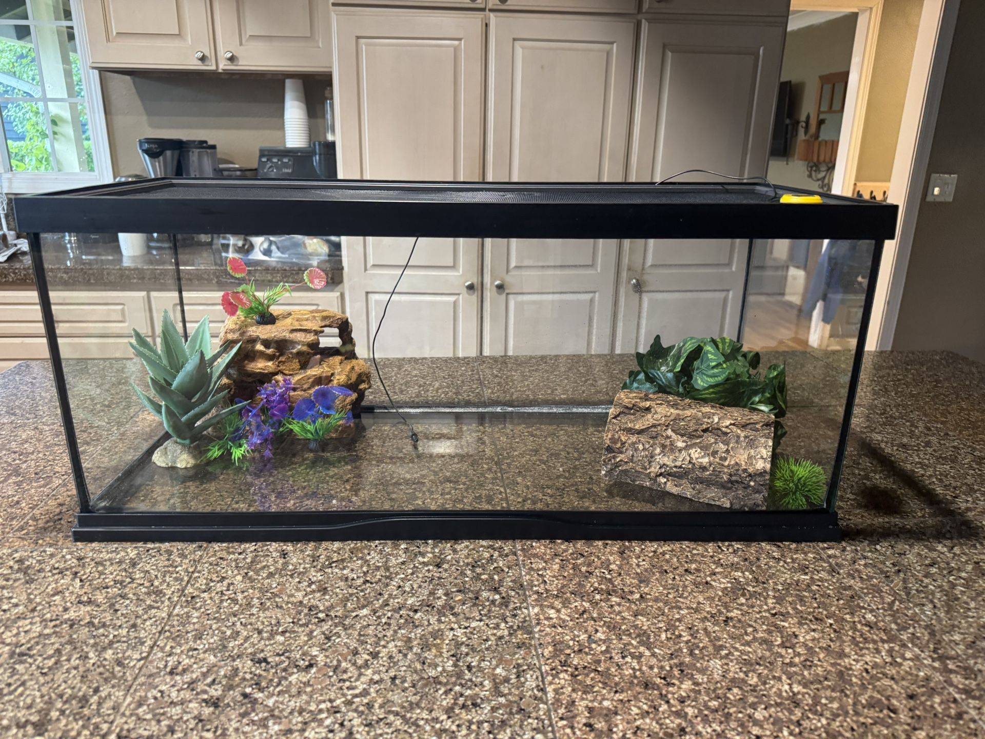 20 gallon reptile terrarium