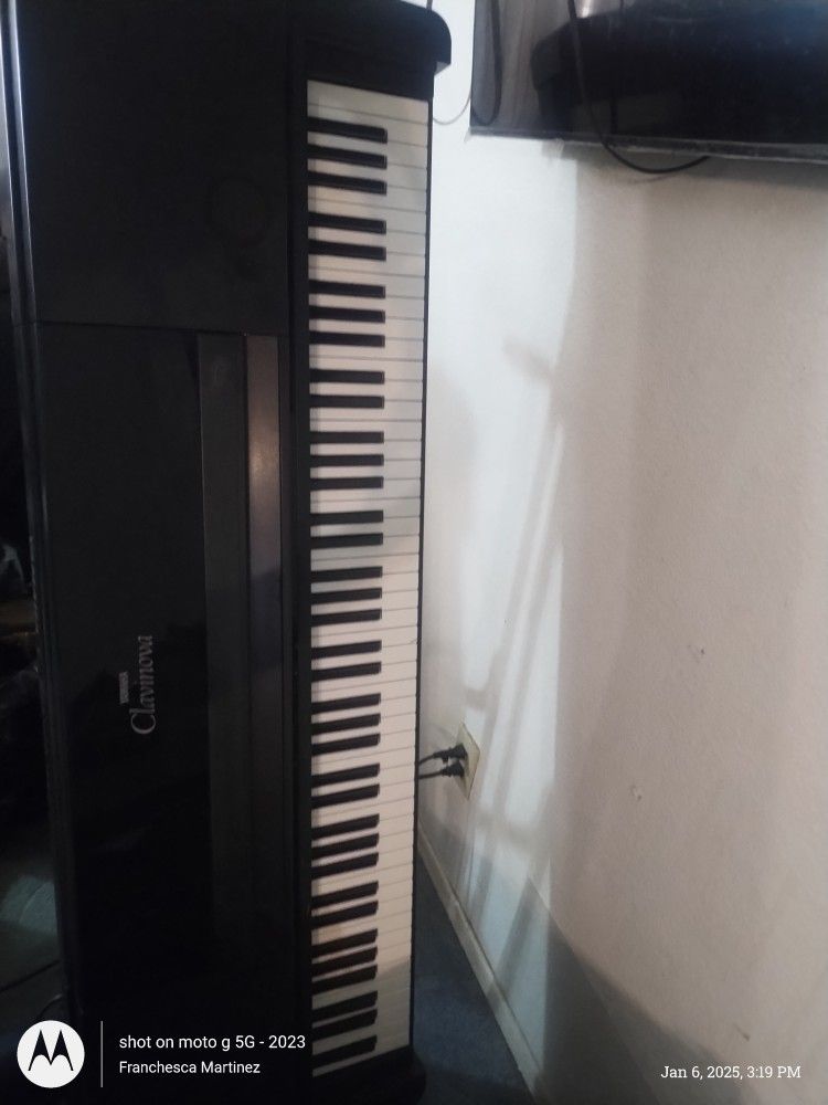 Music Instruments