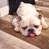 Ruben