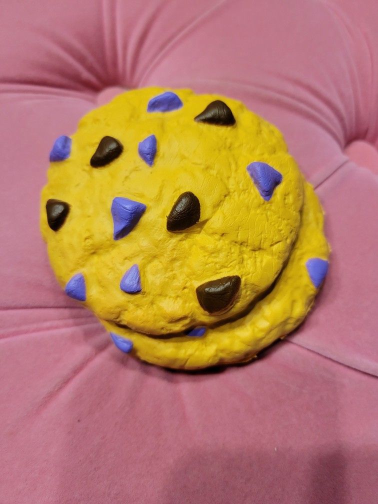 Squishy chocolate chip cookie