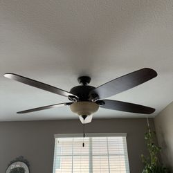 Ceiling Fan