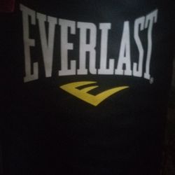 Everlast MMA Punching Bag