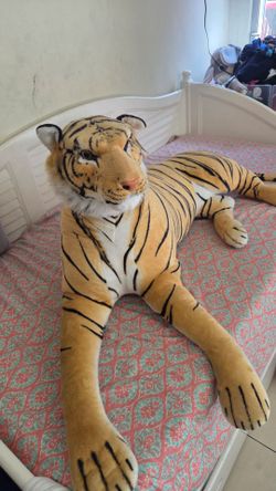 Tiger big