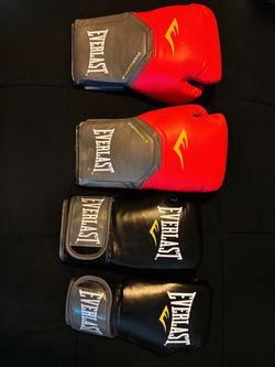 Everlast Boxing Gloves – 2 Pairs