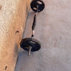 50 Pounds On Curl Bar