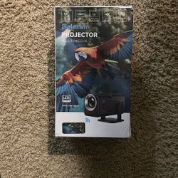 Polocsh Projector