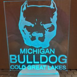 LED Personalized And Custom Light, Night Light