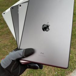 iPads 5 / 6 / 8 / Pro