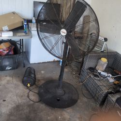 Fan 
