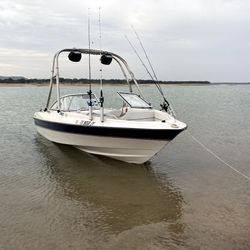 2006 Bayliner175
