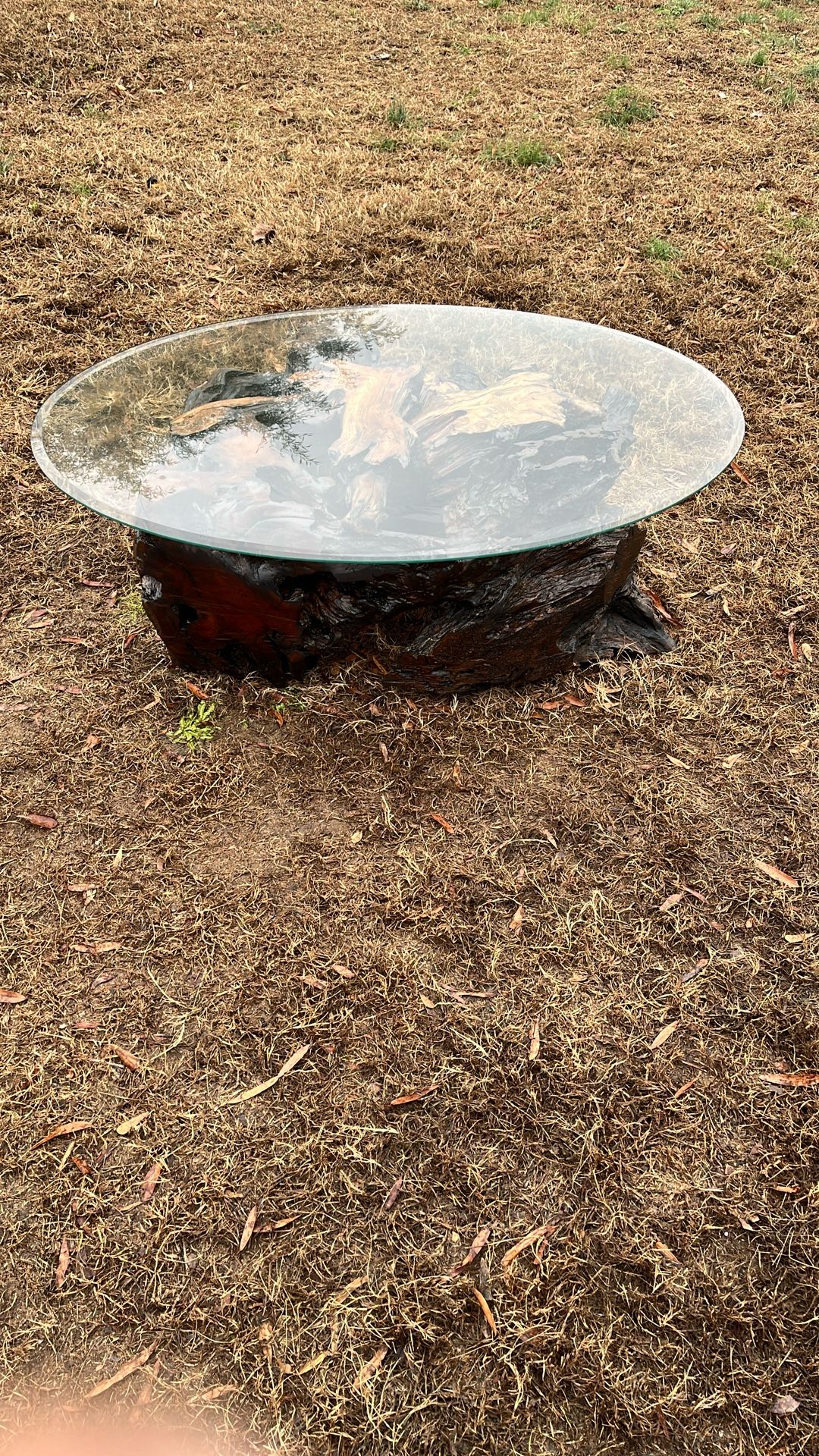 Hand Made One Of A Kind Root Knot Coffee Table