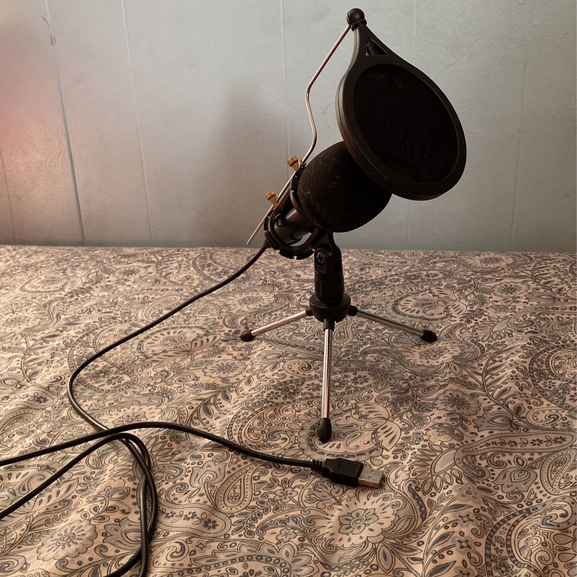 Computer Microphone