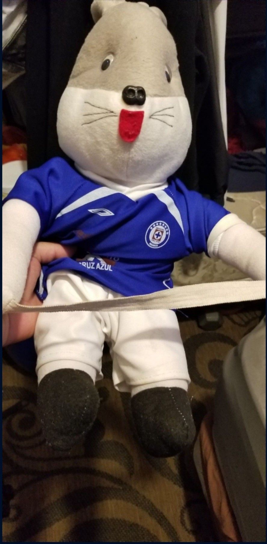 Cruz azul bunny