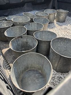 Galvanized Sap Buckets