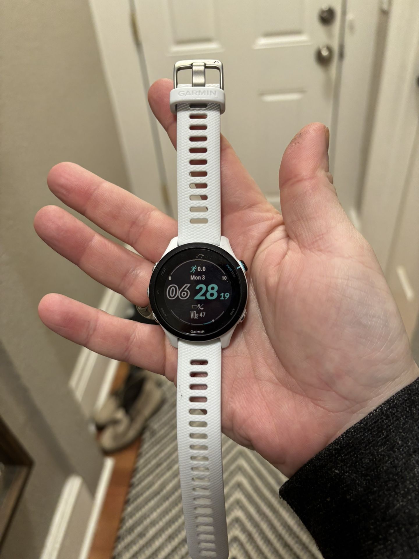 Garmin Forerunner 255s Music Smart Watch