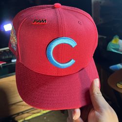 Fam Cubs 7 1/4 