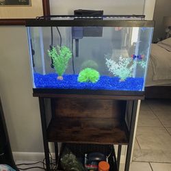 Pescera Mesa Y Accesorios 