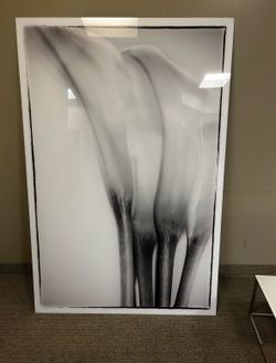 Glassed Canvas Calia Lilies