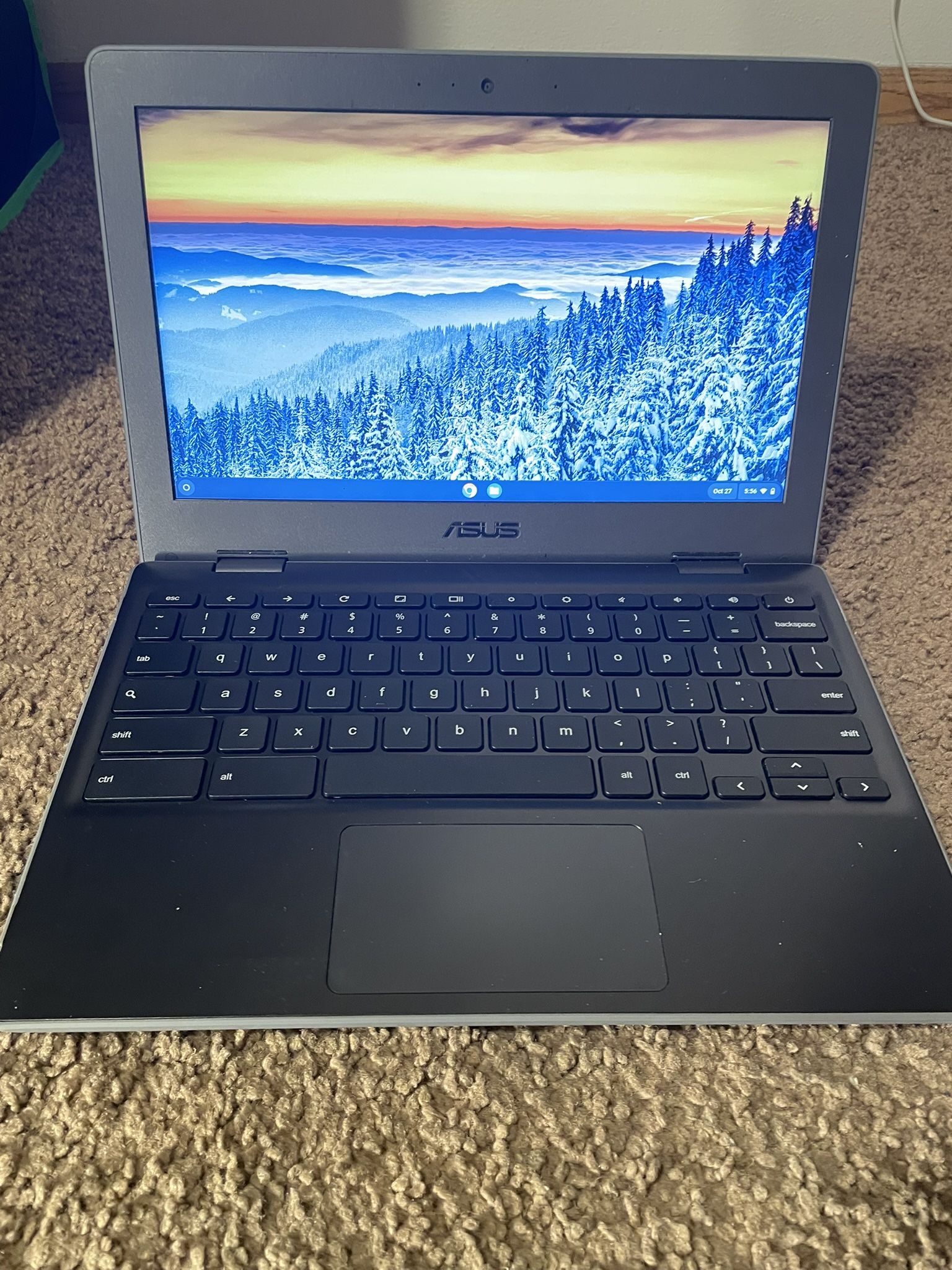 Asus C204 Chromebook