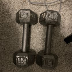 15 Lb Dumbell Weights