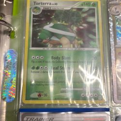 Torterra Pokemon