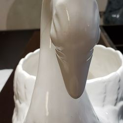 White Swan Plantar