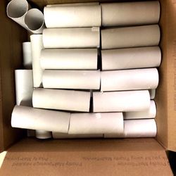 Toilet Paper Rolls for Crafting