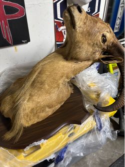 Ram mounted