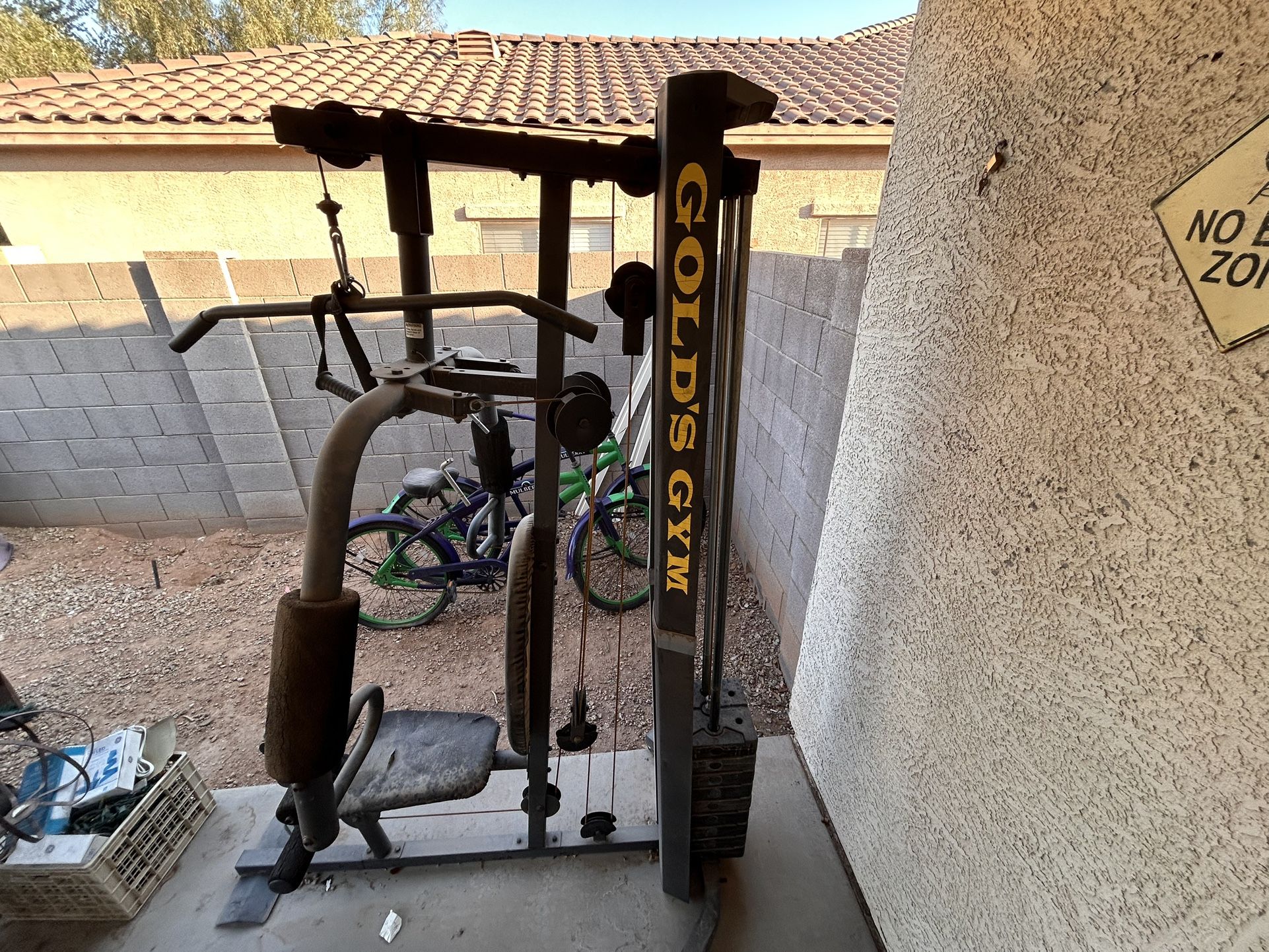 Glolds Gym