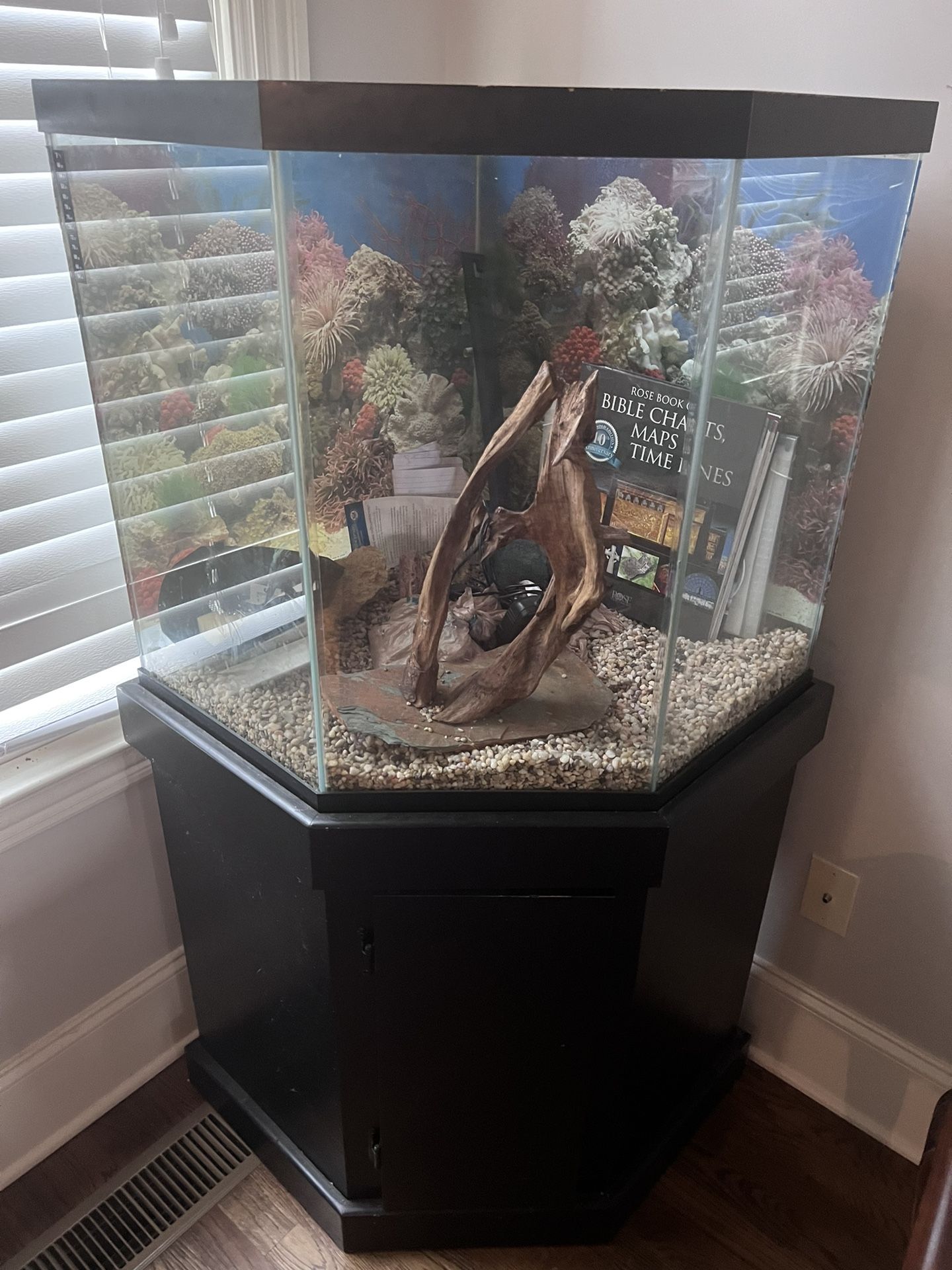 Fish Tank