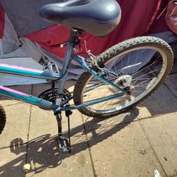 Adult Bike