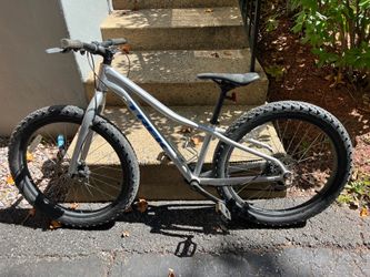 Trek Roscoe