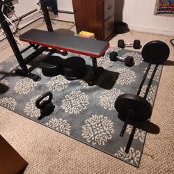 Great Christmas Gift Gym Equipment All For 150.00