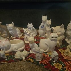 Lot Of Cats