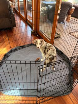 Black Metal Dog Exercise Playpen