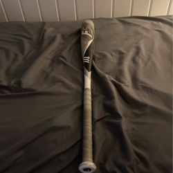 Baseball Bat