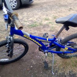 Schwinn Falcon Kids Bike