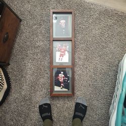 RedWings Captain Pics Framed