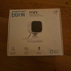 Blink Mini HD camera