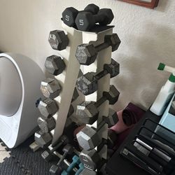Dumbbell Set for Home Gym