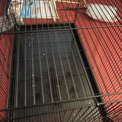 Pets, Complete Canary Habitat