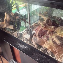 150 Gallon Tank For Sale W Stand . 