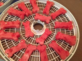 Organic Home Made Watermelon Jerky for Dogs