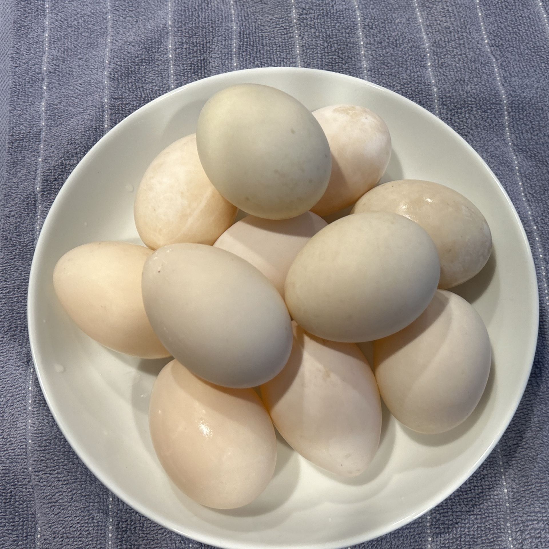  1 Dozen Farm Fresh Duck Eggs