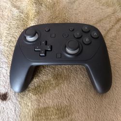 Switch 2 Pro Controller 