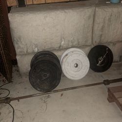 Olympic Weights And Barbell 